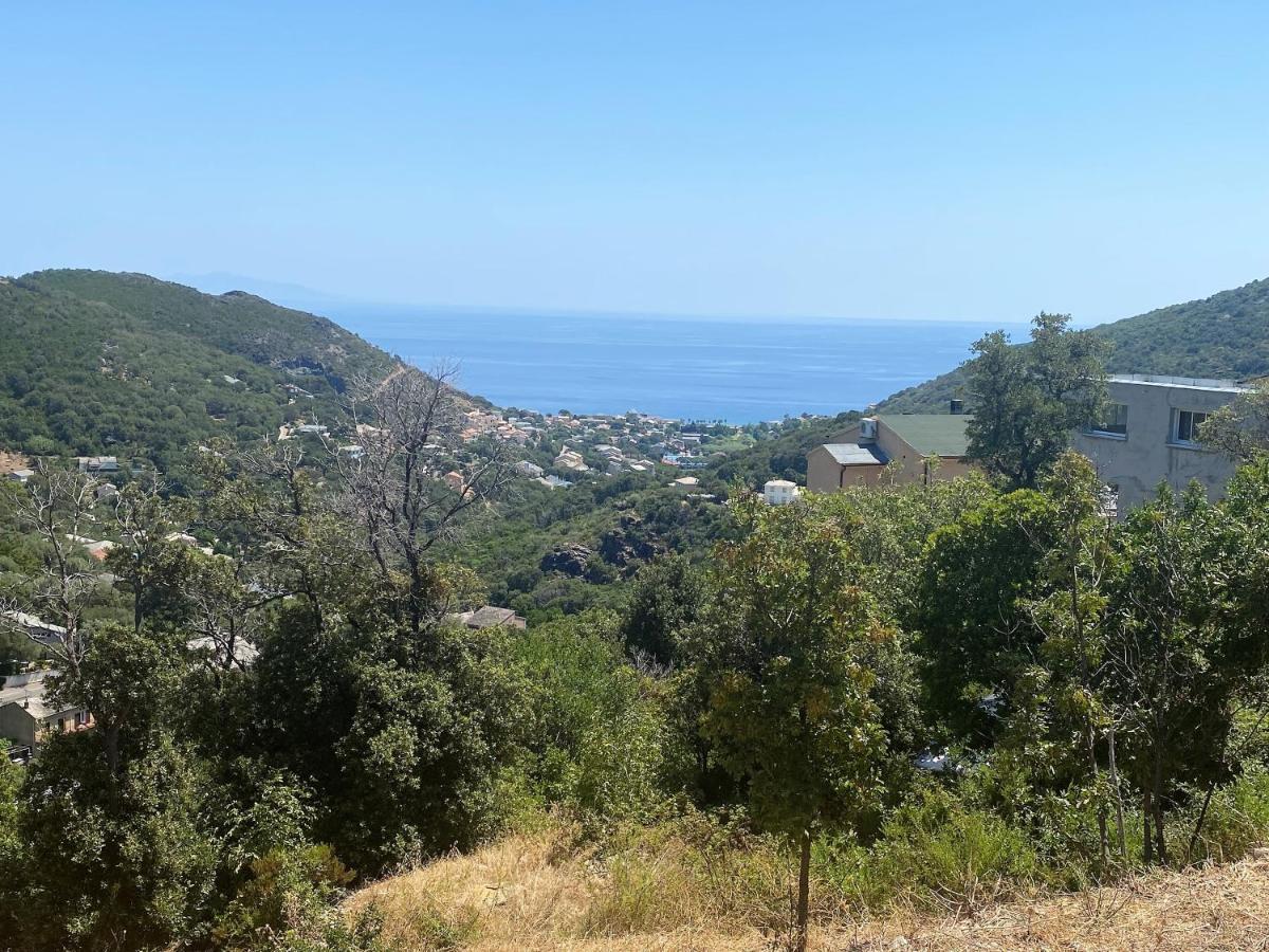 U Cavallu - Luxe Entre Mer Et Montagne Santa-Maria-di-Lota エクステリア 写真