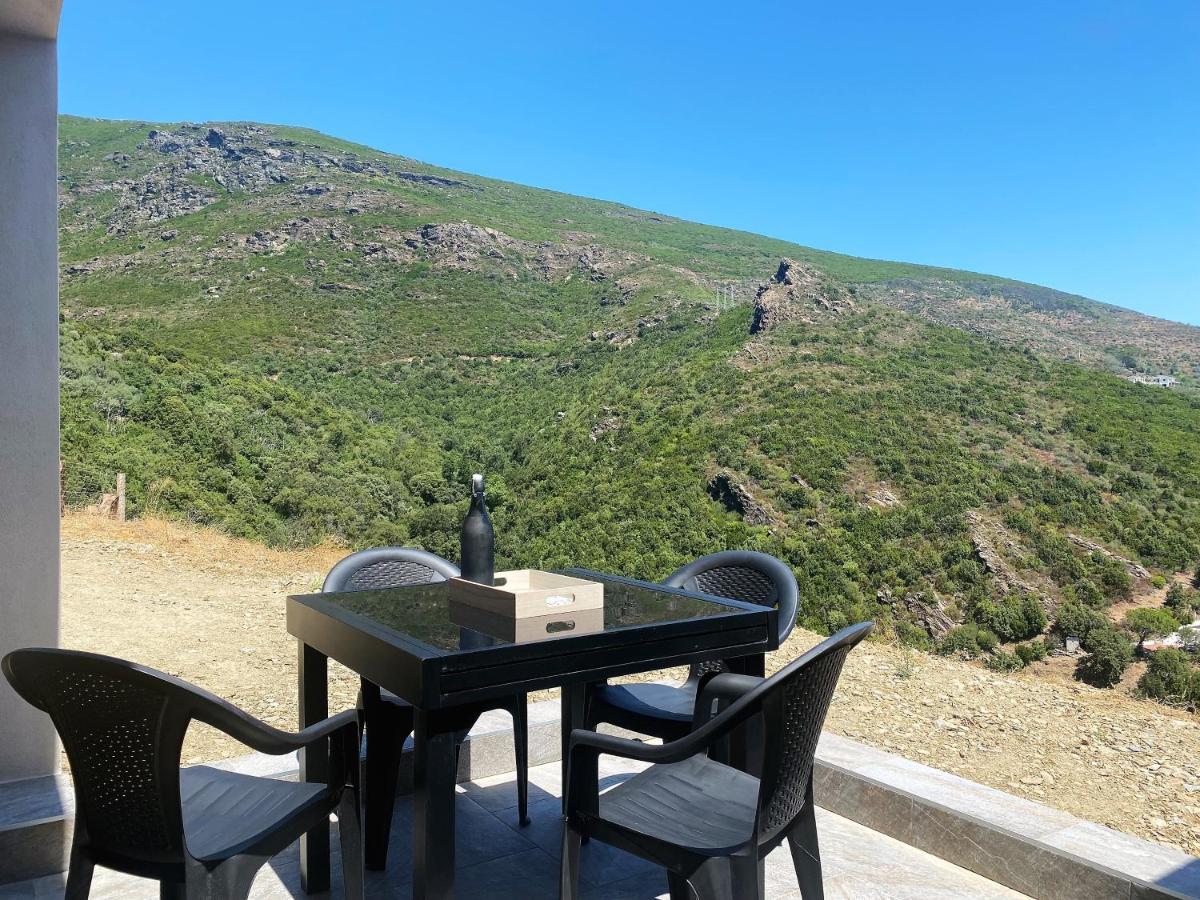 U Cavallu - Luxe Entre Mer Et Montagne Santa-Maria-di-Lota エクステリア 写真