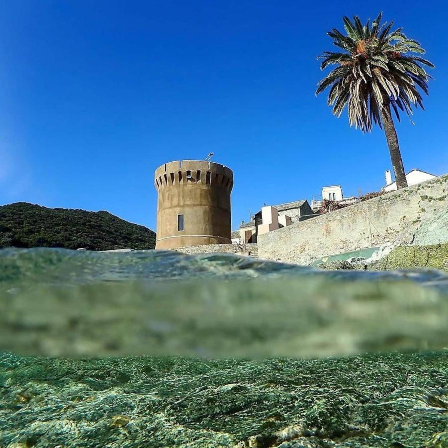 U Cavallu - Luxe Entre Mer Et Montagne Santa-Maria-di-Lota エクステリア 写真